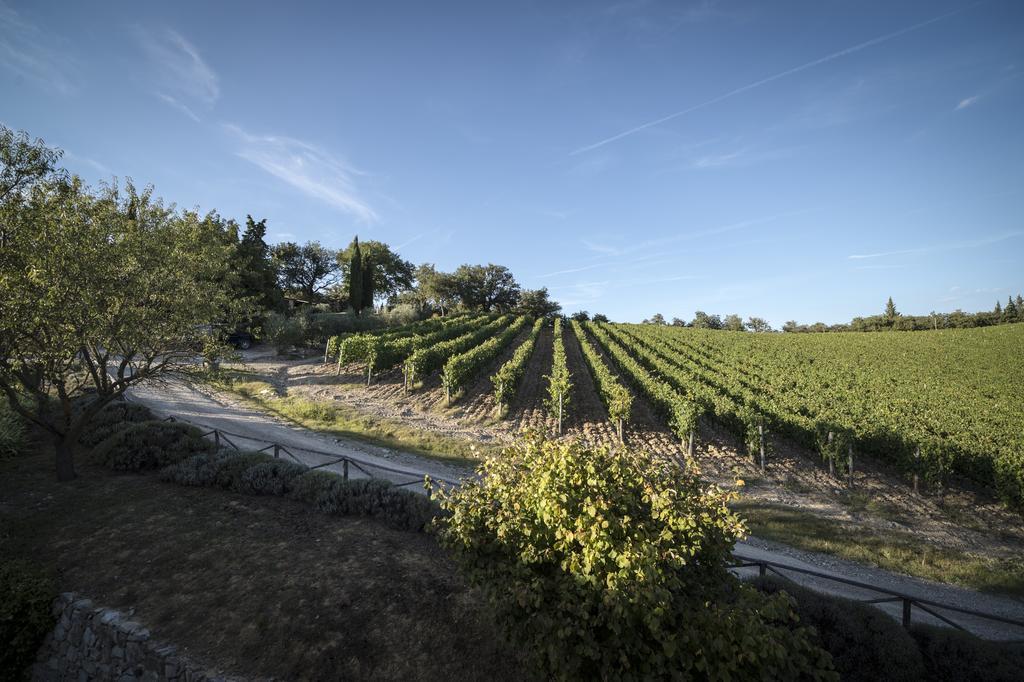 Collelungo Vendégház Castellina in Chianti Szoba fotó