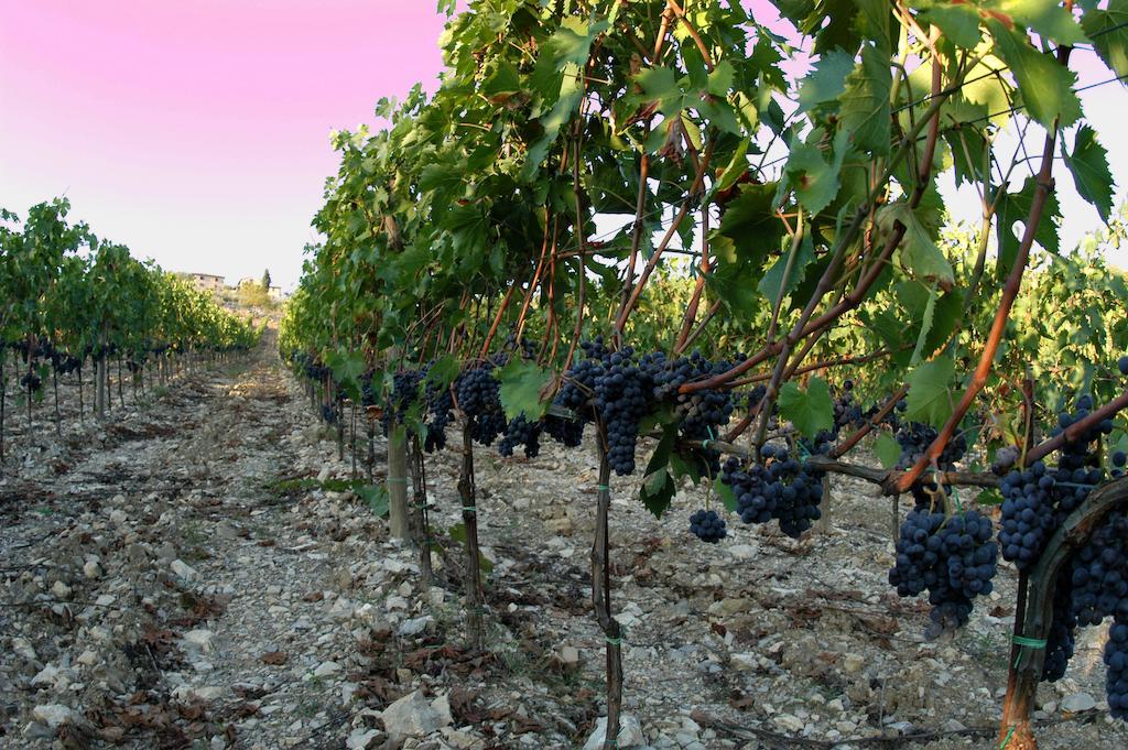 Collelungo Vendégház Castellina in Chianti Kültér fotó